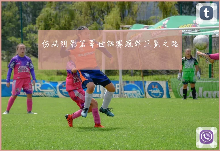 伤病阴影笼罩世锦赛冠军卫冕之路
