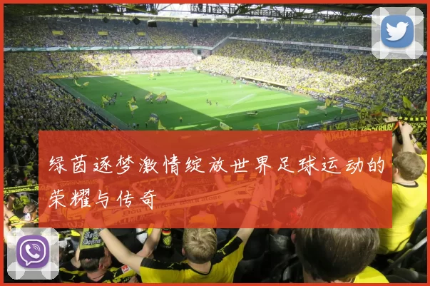 绿茵逐梦激情绽放世界足球运动的荣耀与传奇