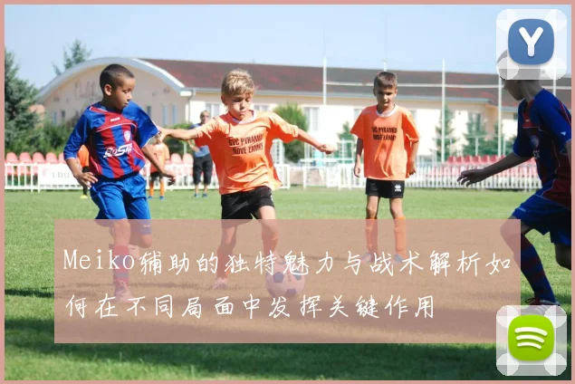 Meiko辅助的独特魅力与战术解析如何在不同局面中发挥关键作用