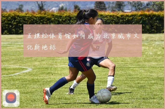 五棵松体育馆如何成为北京城市文化新地标