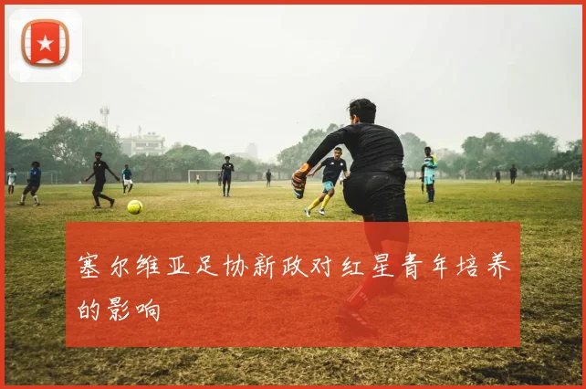 塞尔维亚足协新政对红星青年培养的影响