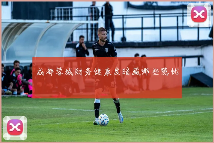 成都蓉城财务健康度暗藏哪些隐忧