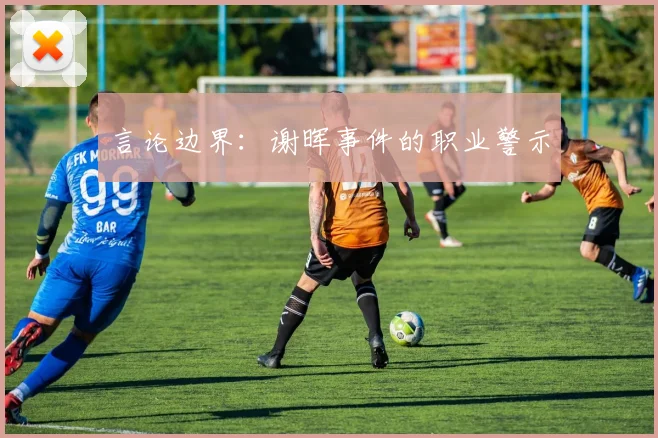 言论边界：谢晖事件的职业警示