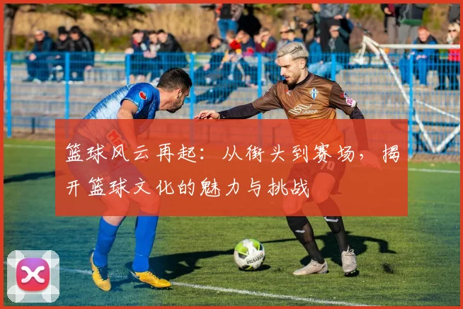 篮球风云再起：从街头到赛场，揭开篮球文化的魅力与挑战